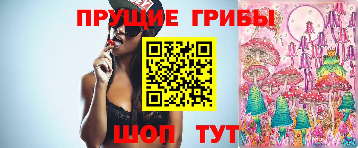 Псилоцибиновые грибы Cubensis Алатырь