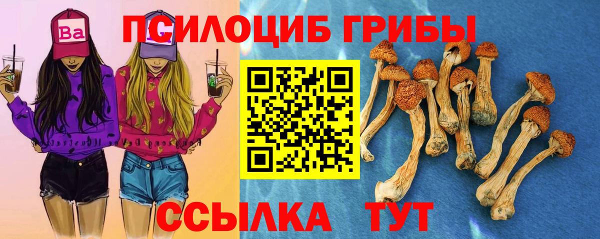 МЕФ Алатырь